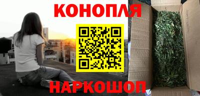 СК Донской