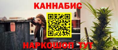 дмт Дубна