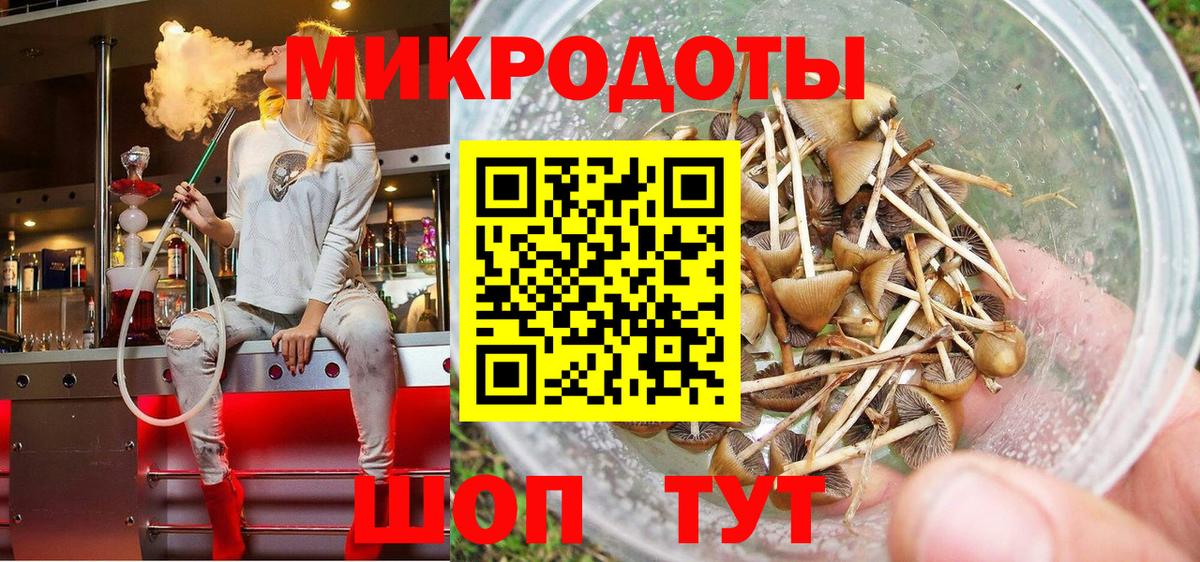 Псилоцибиновые грибы Psilocybe Малоярославец