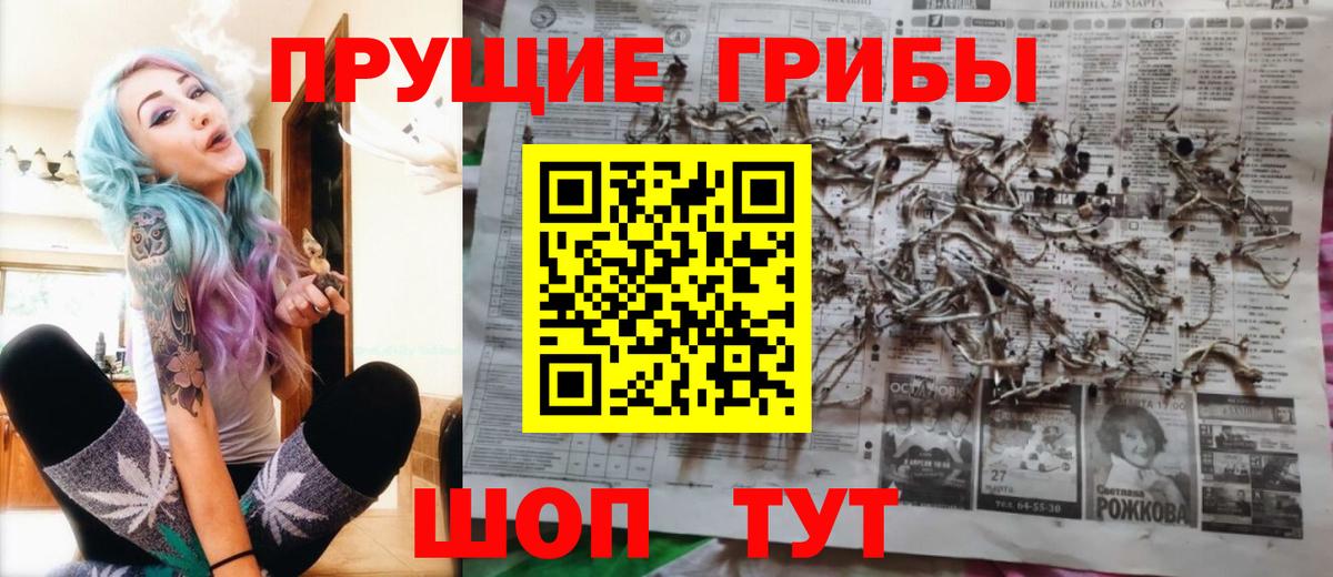 Малоярославец  Галлюциногенные грибы мухоморы  где купить   Псилоцибиновые грибы Psilocybine cubensis  Вход с VPN 